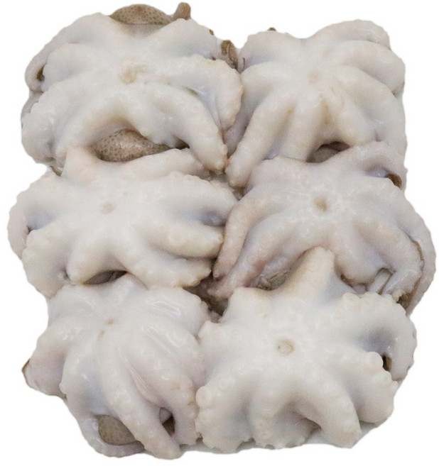 냉동쭈꾸미 손질 2.4kg(200g*12팩), 12개, 6미(200g)