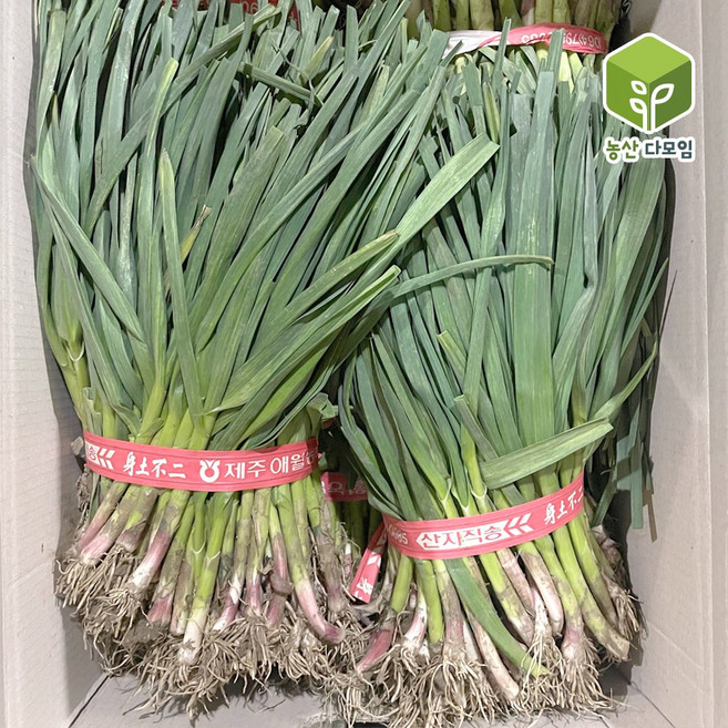 국내산 잎마늘 풋마늘 1단 2kg내외, 1개, 2kg