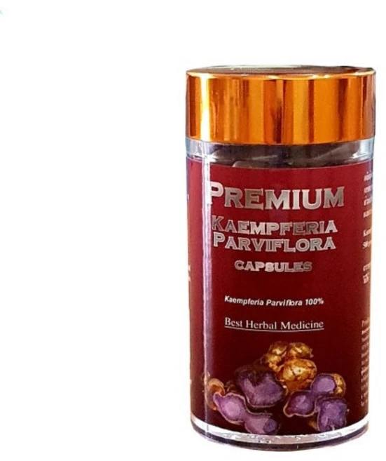 태국 교민가 프리미엄 흑생강 끄라차이담 파비블로라 검은생강 캡슐, 4개, 100정 - 쿠팡