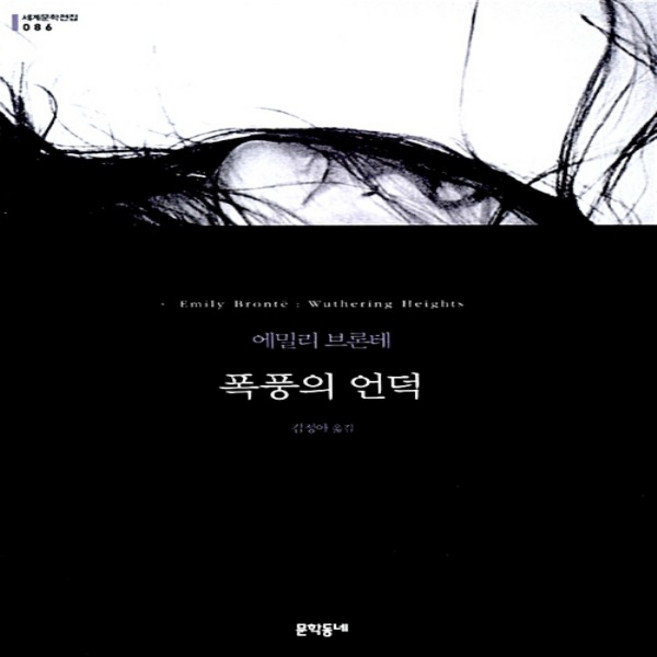 폭풍의 언덕 (반양장 문학동네 세계문학전집 86)