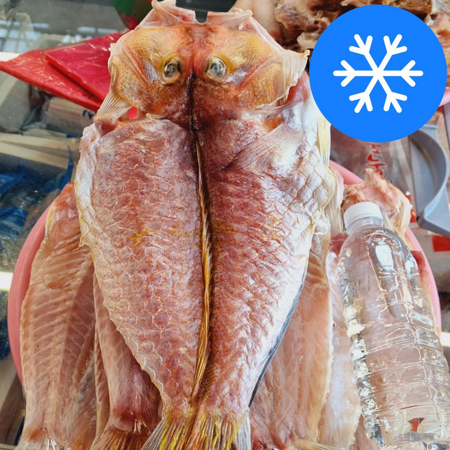 제주대림수산 자연산 반건조 참 옥돔(특대) 3마리 6마리 마리당 310~330g, 6개, 310g이상