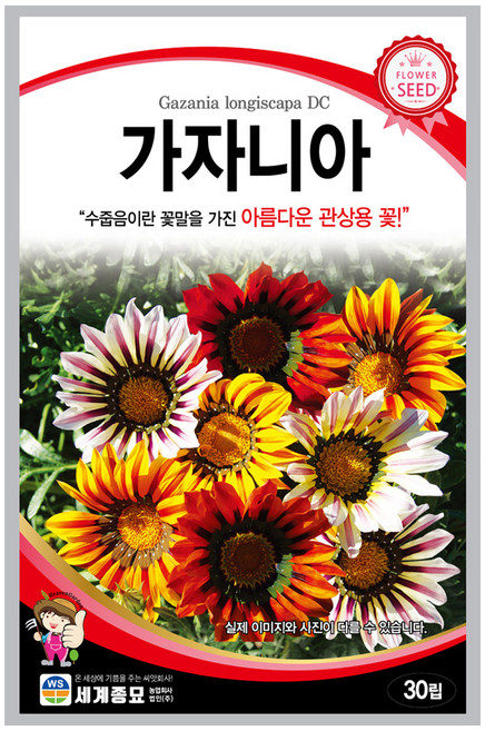 모칸도 (무배)세계 가자니아 꽃씨 30립, 1개