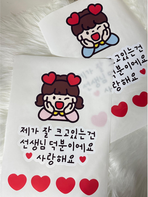 영원크래프트 스승의날 졸업 수료 감사스티커 카네이션 의류스티커 선생님 유치원 어린이집, 여자