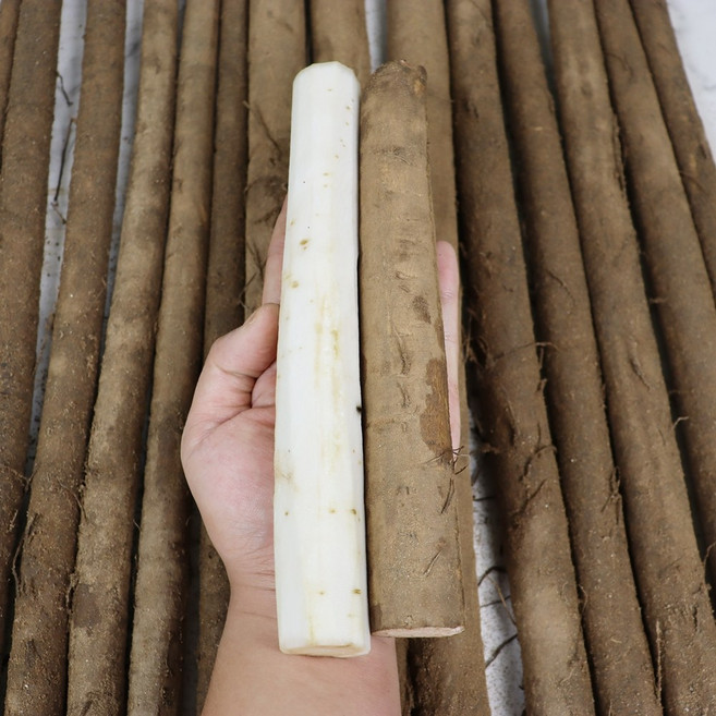 자연담은 안동 생우엉 햇 우엉 1박스, 4k실속우엉