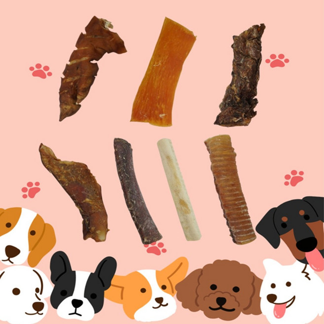 중형 대형 강아지 간식 개껌 미니족발 소힘줄 송아지 목뼈 연골 통갈비 우피 울대, 1개