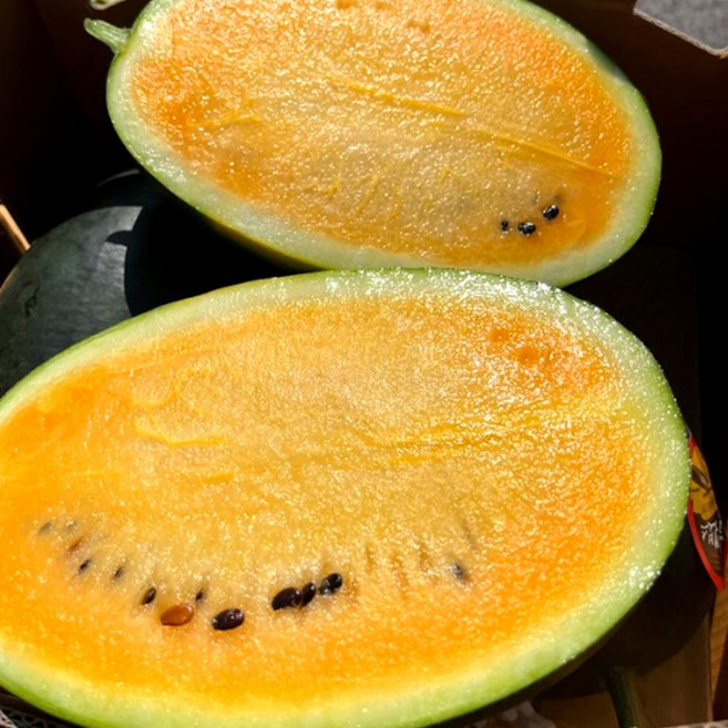 [미리특가할인]올해 첫수확 고당도를 자랑하는 블랙망고수박 13brix 2.5키로내외, 1개, 2-3kg 내외