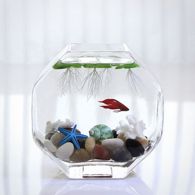 玻璃魚缸 花瓶 水培器皿 桌面小型魚缸, 1個, 小號魚缸+套餐6