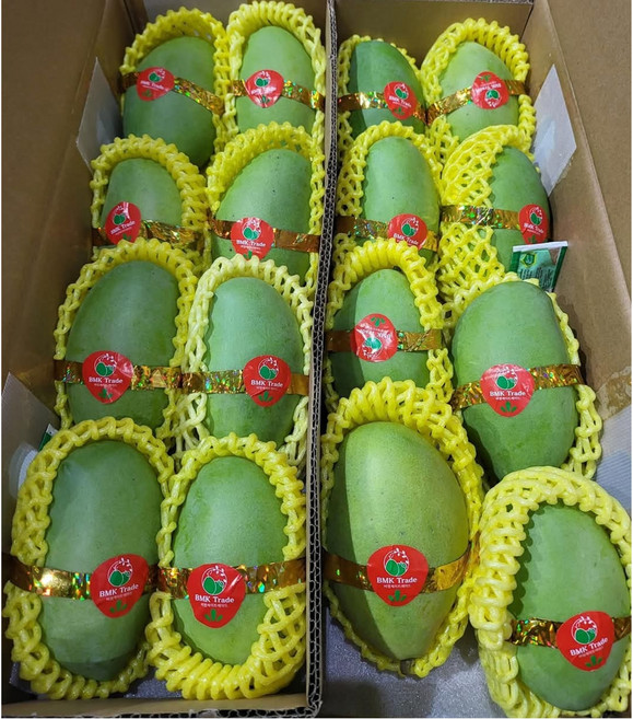 [비엠케이] 베트남 그린망고, 1박스, 5kg 내외 (케오)