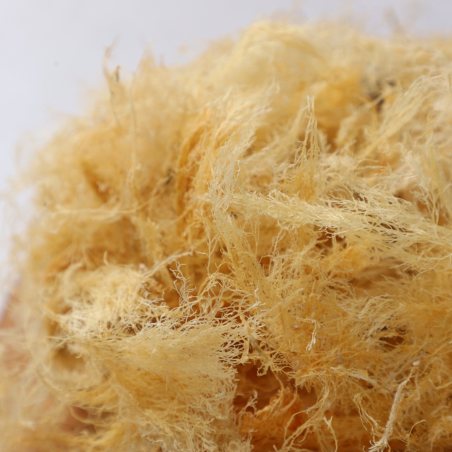 2025년 제주 햇 우뭇가사리 우무가사리, 200g, 1개