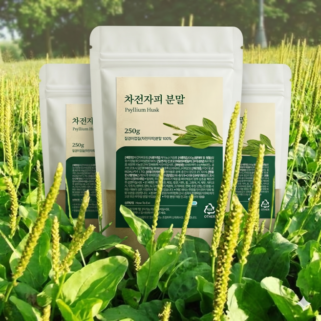 차전자피환 자전차피 차전자피 가루 분말 환 차전차피 차전자 차전자피 식이섬유 질경이씨앗 질경이환 차전피 250g, 3개