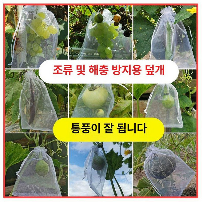 과수원 포장지 무화과 과일싸개 보호망 매쉬망 방충봉투 싸개 주머니, 10x15cm 50개입 화이트, 1개