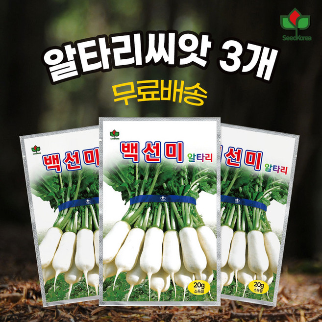 [씨드코리아] 백선미 알타리 씨앗 봄알타리무 총각무 종자, 3개