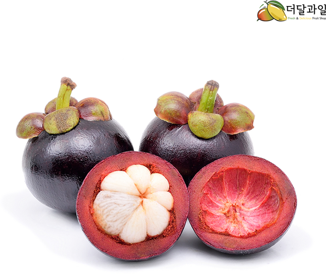 프리미엄 태국 생 망고스틴 열대과일 생과, 1개, 10망(5kg 내외)