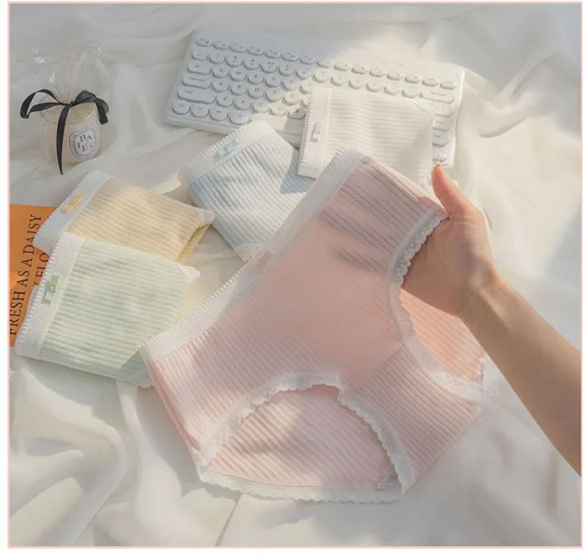 주니어 무지 레이스 면 스판 팬티 5종 세트 사계절 데일리 요일 속옷