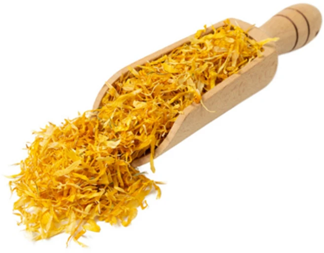 [미니스토리] 식용 건조 메리골드 5g / 슈가글라이더 간식 장난감, 1개 - 쿠팡