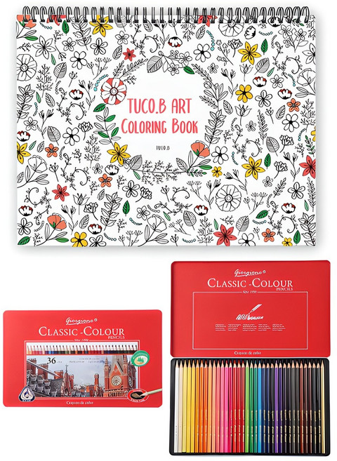 아트 컬러링북 플라워 스프링 랜덤발송 + 조르조네 삼각 유성색연필 36색, 투코비