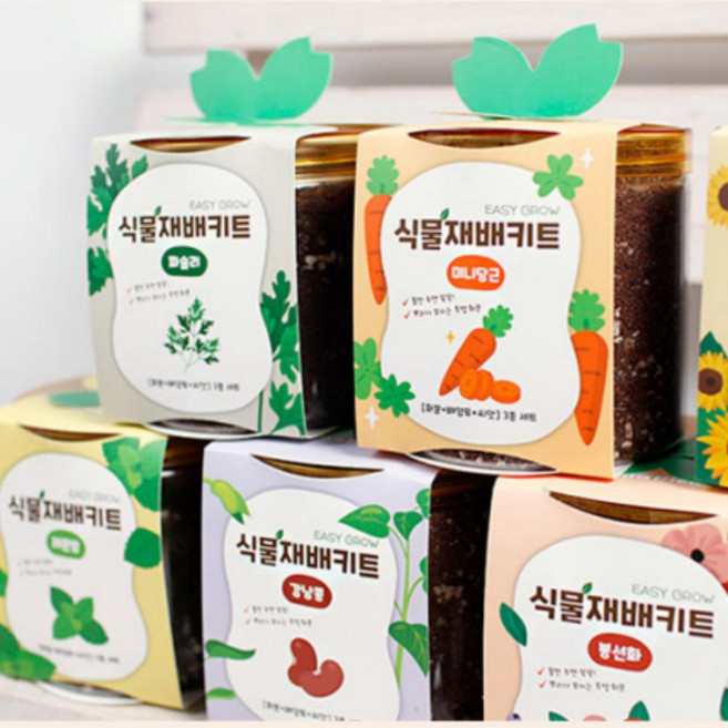 식물재배키트 수경재배 방울토마토 고수 바질 씨앗 집에서 키우기 초보 홈가드닝