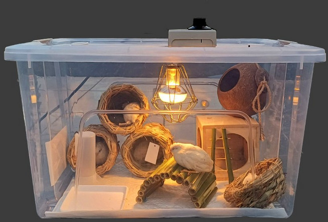 KC인증 66L 대형 육추기 세트 병아리 미니메추리 앵무새 잉꼬 집 키우기 사육장 국내 제조 완제품, 1개