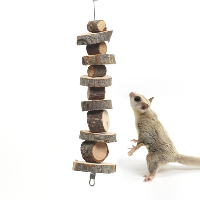 슈가글라이더 피그미 다람쥐 행잉 큐브 사과 나무 이갈이 장난감, 2개, 1세트