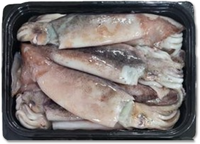 [득템몰] 통찜오징어 1kg 국내산 원양산 오징어 동해안 급냉 한입 초코오징어 오징어찜, 국내산 2kg, 1개