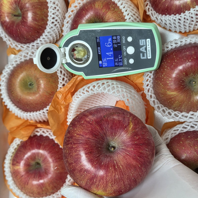 [환불보장] 고당도 프리미엄 부사사과 못난이 사과 가정용 14브릭스, 1박스, 10kg, 부사 사과