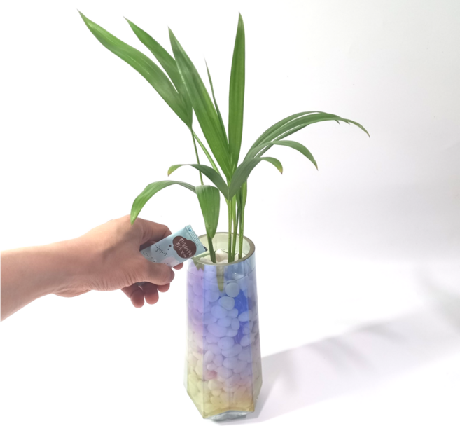 5pc 수경재배 식물 영양제 비료 양액 수생식물 액비 유기질 공기정화식물, 수경재배 영양제5pc(5gx5개), 1개