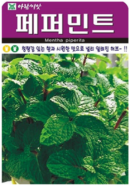 허브 페퍼민트 씨앗 (합 400립) 허브씨 종자