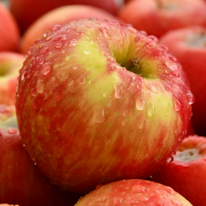 2025년 청송 안동 가정용 햇 홍로사과(중소과), 1박스, 가정용홍로사과(중소과)4KG