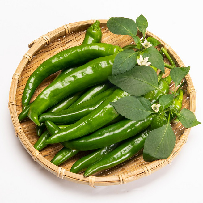 국내산 싱싱하고 맛있는 고추, 모닝고추, 1개, 200g