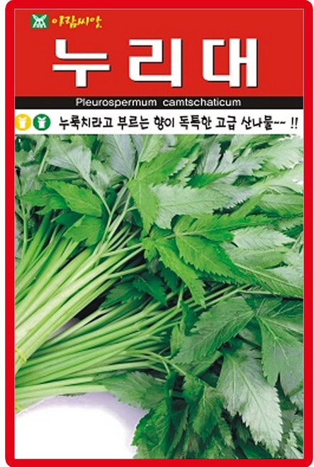 세인화분 누리대 20립 - 국산 누룩치 씨 씨앗, 2개