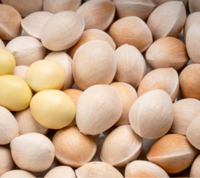 굿피플 피은행국산 은행 국산은행 피은행 [피은행(딱딱한껍질있는) 특대], 1kg, 1박스