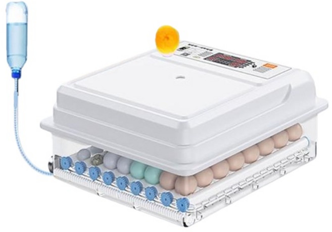 智能孵蛋機 自動控溫 自動翻蛋, 1個