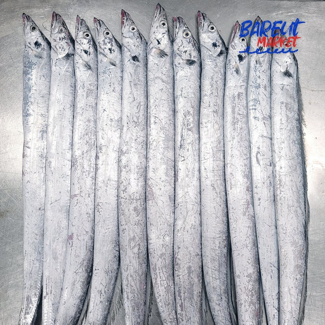 목포 생물 비손질 먹갈치 3kg (14-15미), 1개