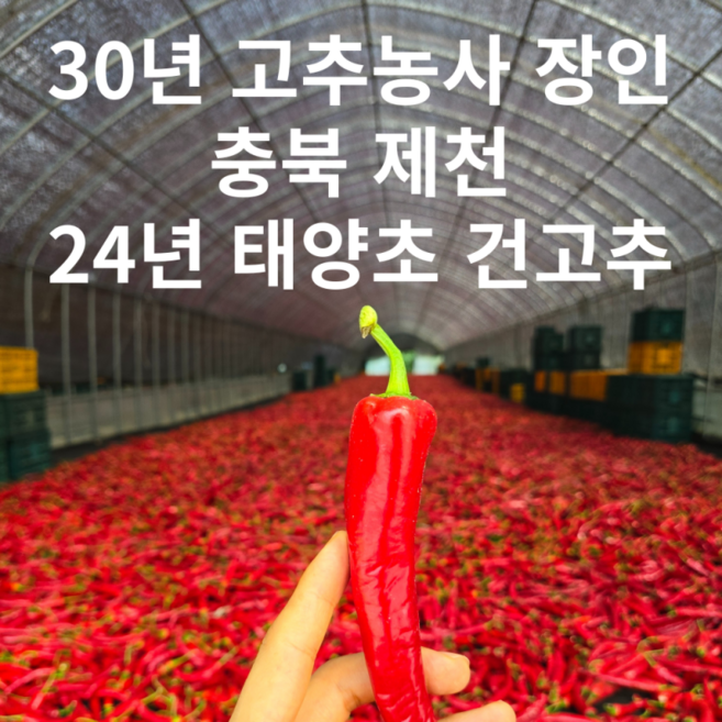2024년 태양초 건고추 홍고추 6kg, 1개, 10근