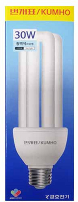 번개표 삼파장 형광램프 30W EFQR30EX-D, 주광색, 2개