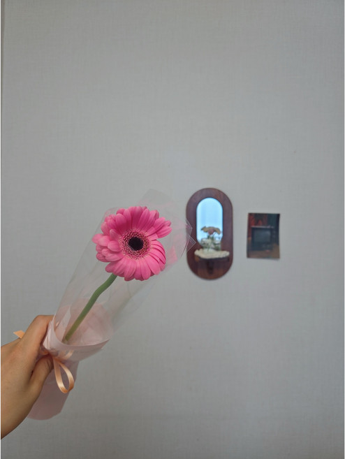 단루아 꽃한송이 답례품 꽃다발 생화 가성비꽃다발, 1개, 거베라(연한색)
