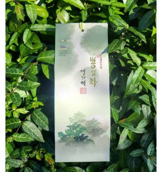 [진상품몰] 유기농 명품 뽕잎차, 1박스, 1개입, 50mg