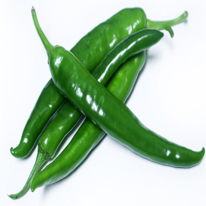 행복농산 국내산 오이고추, 1박스, 500g-오이고추