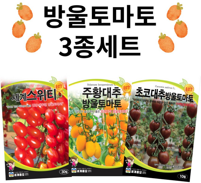 방울토마토 씨앗 3종 세트 / 주황 빨강 초코 대추 방울 토마토 종자 씨, 1개