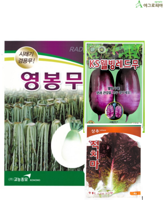 영봉무 500g 가을 김장 시래기 전용 씨래기 무 무우 씨앗 씨 종자, 1개