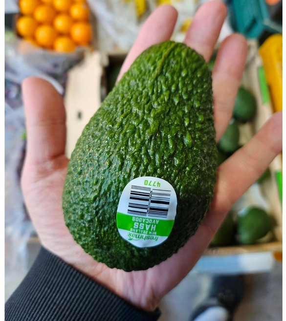 동명 숲속버터 생 아보카도 로얄과, 특대과 10과