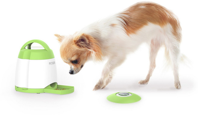 펫긱 강아지 지능개발 운동 장난감, 혼합색상, 1개