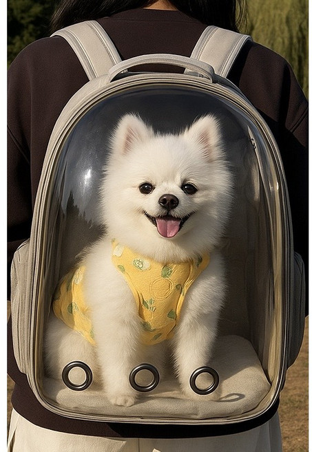 반려동물 강아지 고양이 투명 가방 백팩, 50개, 그레이