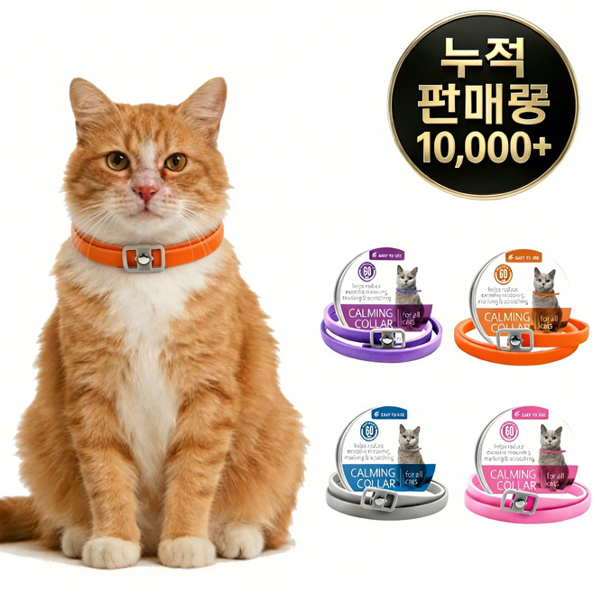 고양이 진정 페로몬 목걸이 스트레스 불안 완화 카밍칼라, 오렌지, 1개