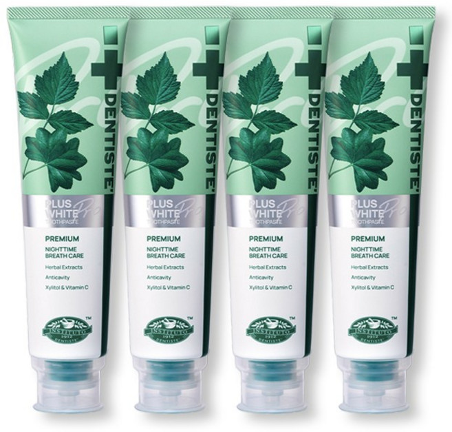 덴티스테 뉴 플러스화이트 치약, 160g, 4개