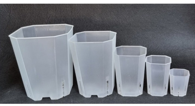 12cm 롱 슬릿화분 투명화분 반투명 팔각 슬릿분 플분, 1개