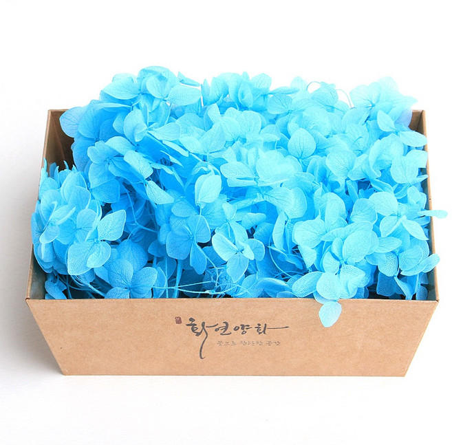 화연양화 프리저브드플라워 블루밍 케이스 수국 30색, 18 민트