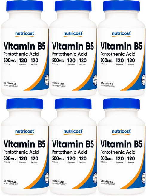 뉴트리코스트 비타민 B5 판토텐산 500mg, 6개, 120개