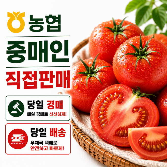 [당일경매] 정품 국내산 완숙토마토 5kg 로얄사이즈 찰토마토 농협중매인직영, 1박스, 5kg 3-4번다마