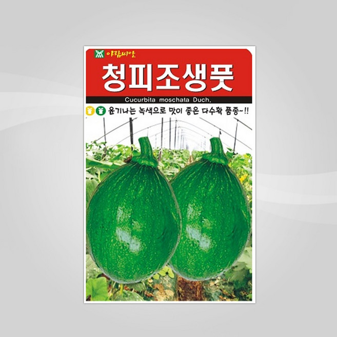 슬로시 슬로시 열매 씨앗 고추 토마토 콩 씨 종자, 1개